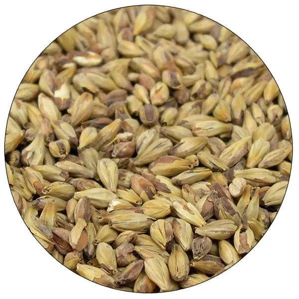 Briess Special Roast Malt