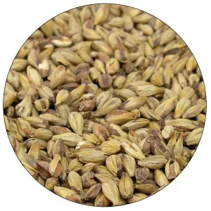 Briess Special Roast Malt