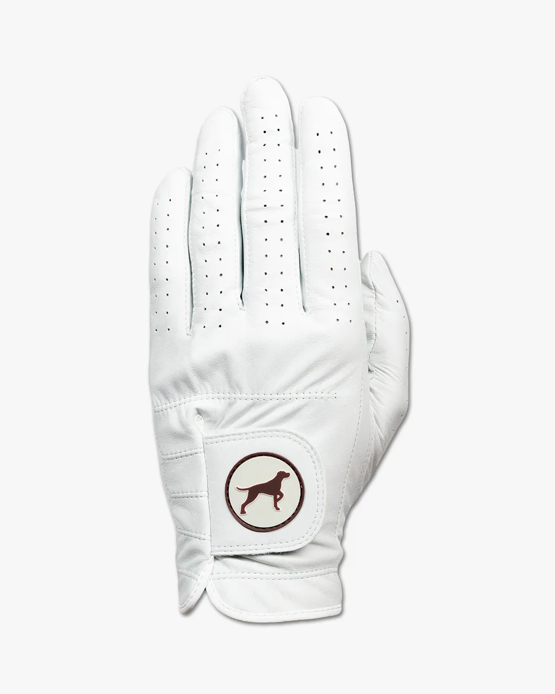 Premium Golf Glove - Bird Dog