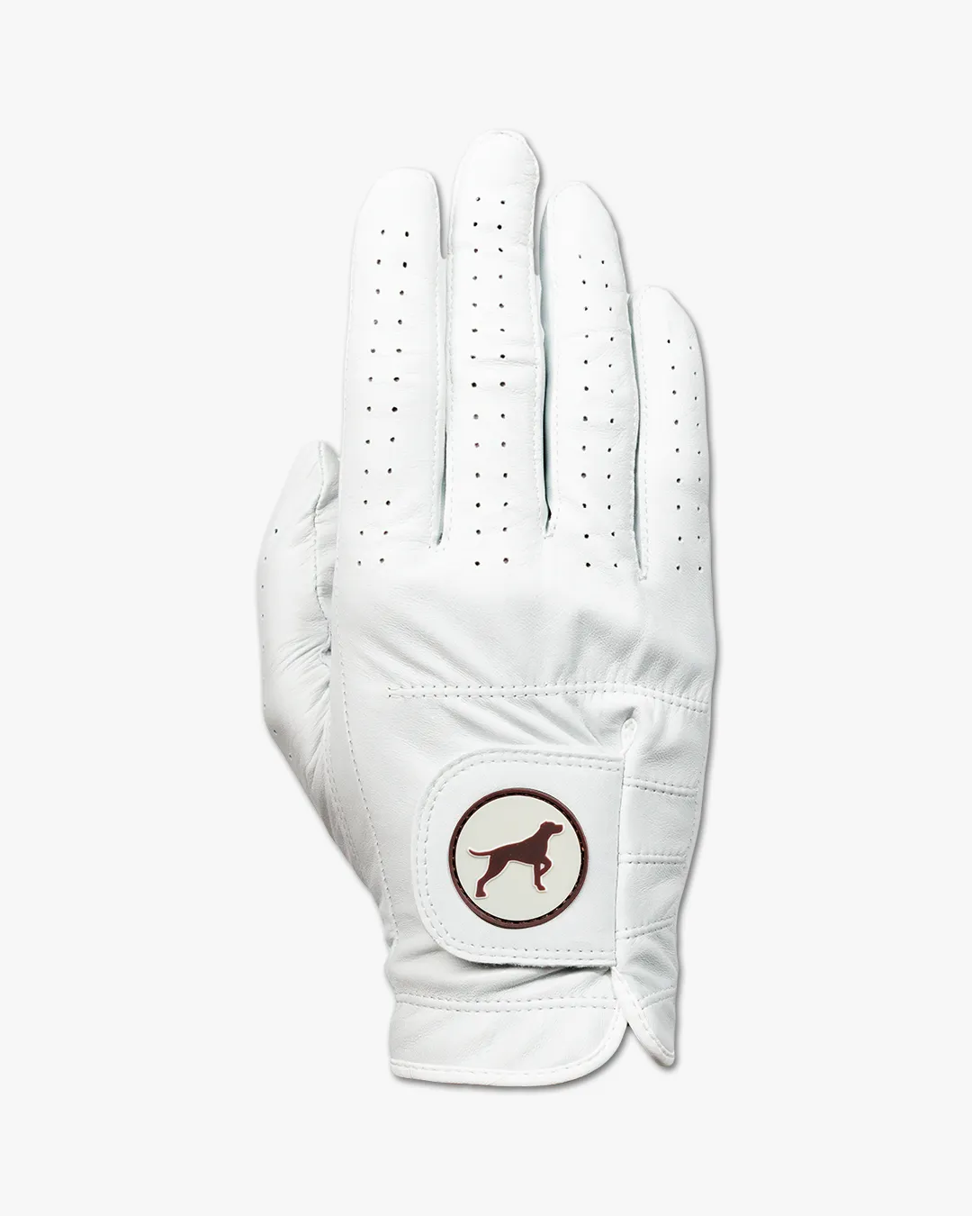 Premium Golf Glove - Bird Dog